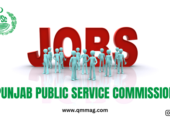 Government Jobs PPSC 2024