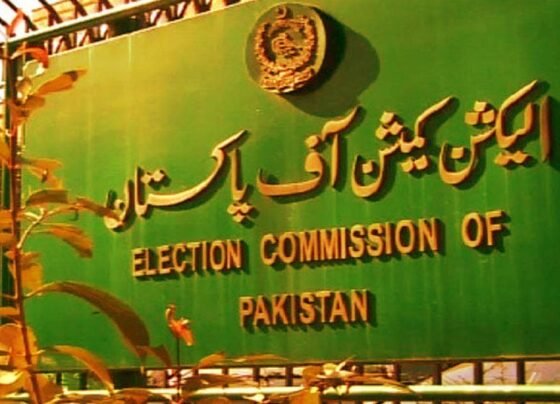 ECP's appeal against the PHC